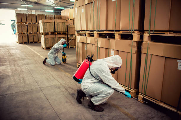Best Ant Control Services  in Alexandria, MN