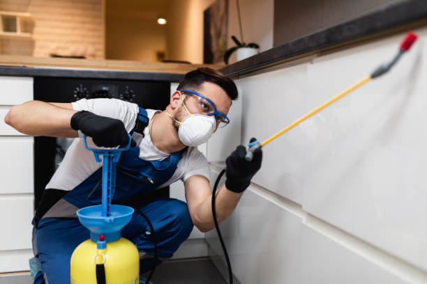 Best Commercial Pest Control Services  in Alexandria, MN