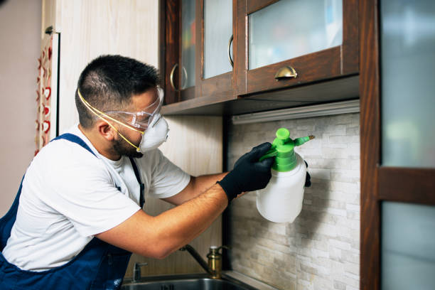 Best Mosquito Control Services  in Alexandria, MN
