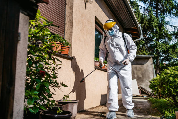 Best Flea Control Services  in Alexandria, MN