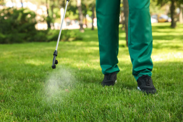 Best Best Pest Control Companies  in Alexandria, MN