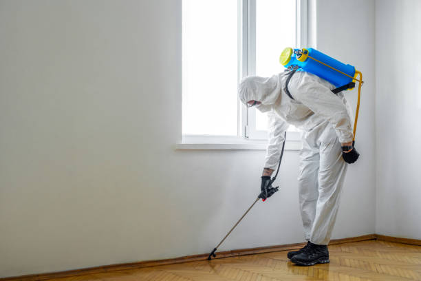 Pest Control Cost in Alexandria, MN