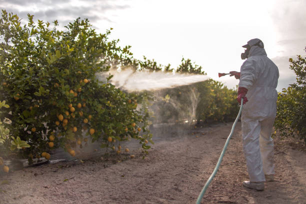 Best Wildlife Control Services  in Alexandria, MN
