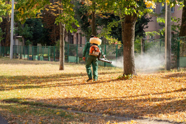 Best Affordable Pest Control Services  in Alexandria, MN