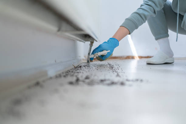 Best Bed Bug Extermination  in Alexandria, MN