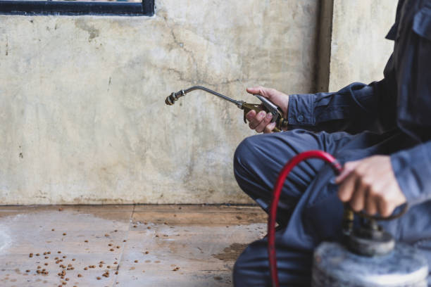 Best Pest Control Near Me  in Alexandria, MN